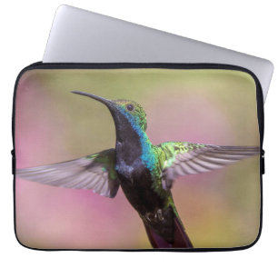 Funda Para Portátil Ave de barro