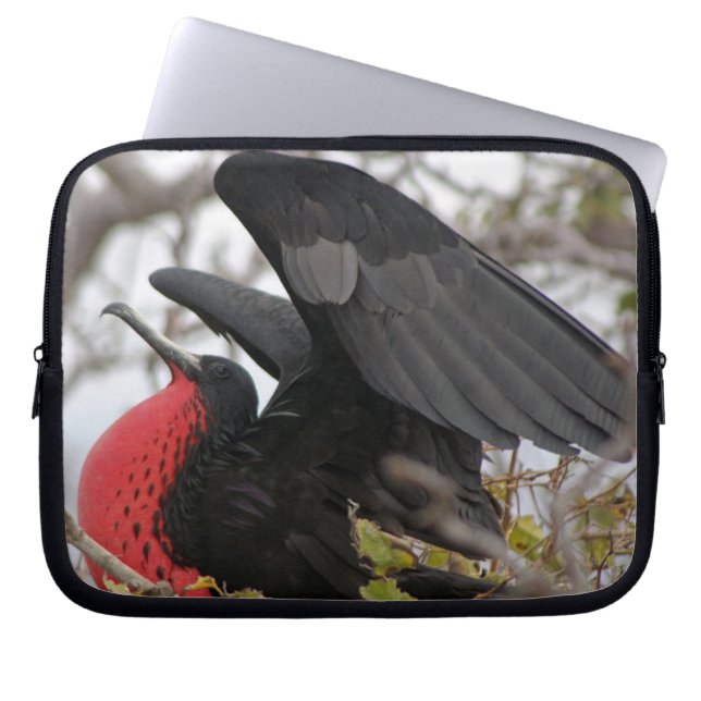 Funda Para Portátil Ave fragata magnífica (Frente)