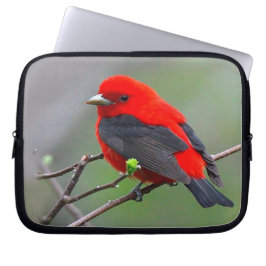 Funda Para Portátil Ave rojo_iphone