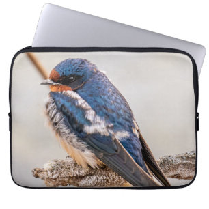 Funda Para Portátil Azure Avian: Pájaro salvaje canadiense que se trag