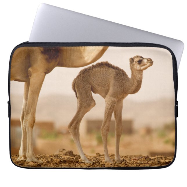 Funda Para Portátil Baby Camel (Frente)