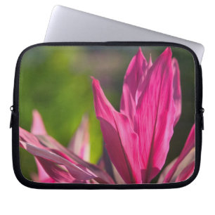 Funda Para Portátil BAHAMAS, Isla de Nueva Providencia, Nassau: Paraís