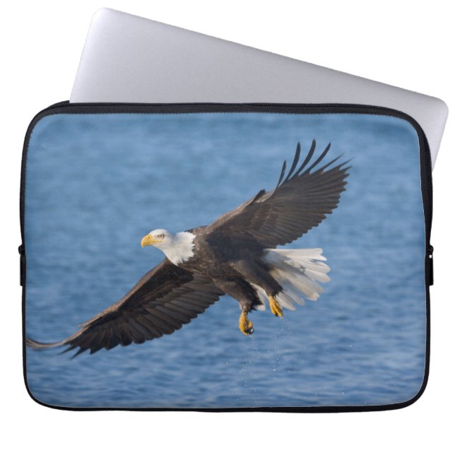 Funda Para Portátil Bald eagle in flight (Frente)