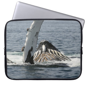 Funda Para Portátil Ballena jorobada