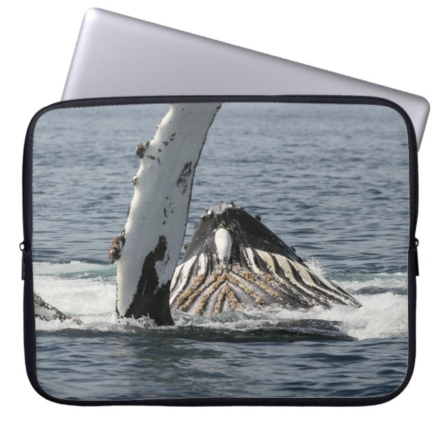 Funda Para Portátil Ballena jorobada (Frente)