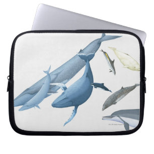 Funda Para Portátil Ballenas