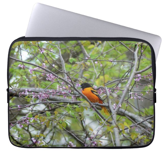 Funda Para Portátil Baltimore Oriole (Frente)