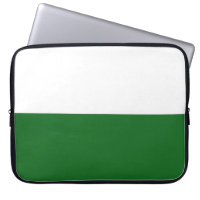 Bandera de Sajonia (Estado alemán)