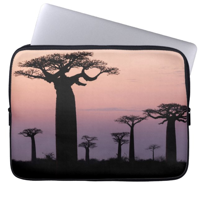 Funda Para Portátil Baobab Alley', Madagascar, Morondava, África, (Frente)