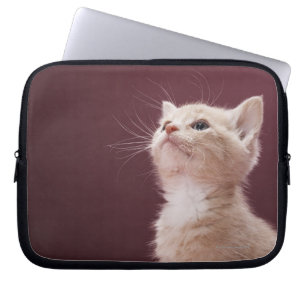 Funda Para Portátil Barbas del gatito