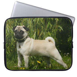 Funda Para Portátil Barro amasado que mira la cámara