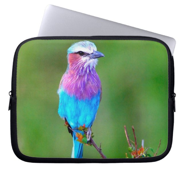 Funda Para Portátil Bird Blue_Funda (Frente)