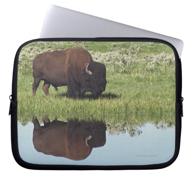 Funda Para Portátil Bison (Bison Bison) En Grassy Meadow (Frente)