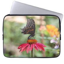 Black Swallowtail oriental sobre la flor de conos