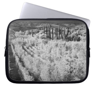 Funda Para Portátil Blanco y Negro de viñedos, Montepulciano, Italia
