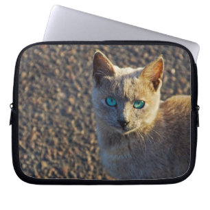 Funda Para Portátil Blue Eyed Cat