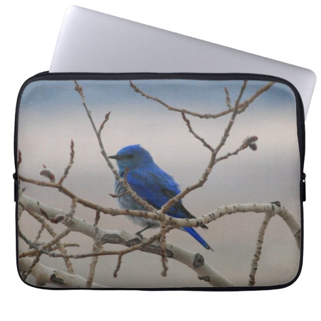 Funda Para Portátil Bluebird de la montaña (Frente)