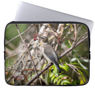 Funda Para Portátil Bohemia vagando, descansando en una rama