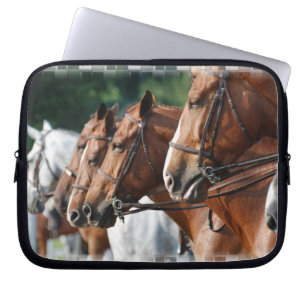 Funda Para Portátil Bolso equino de la electrónica de la demostració
