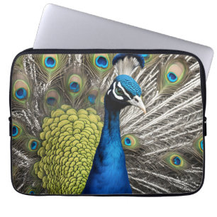 Funda Para Portátil Bonito Peacock