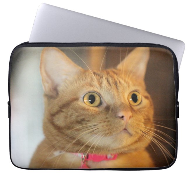 Funda Para Portátil Bonito Penny (Frente)