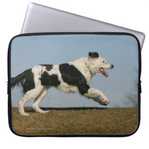 Funda Para Portátil Border collie que corre 2