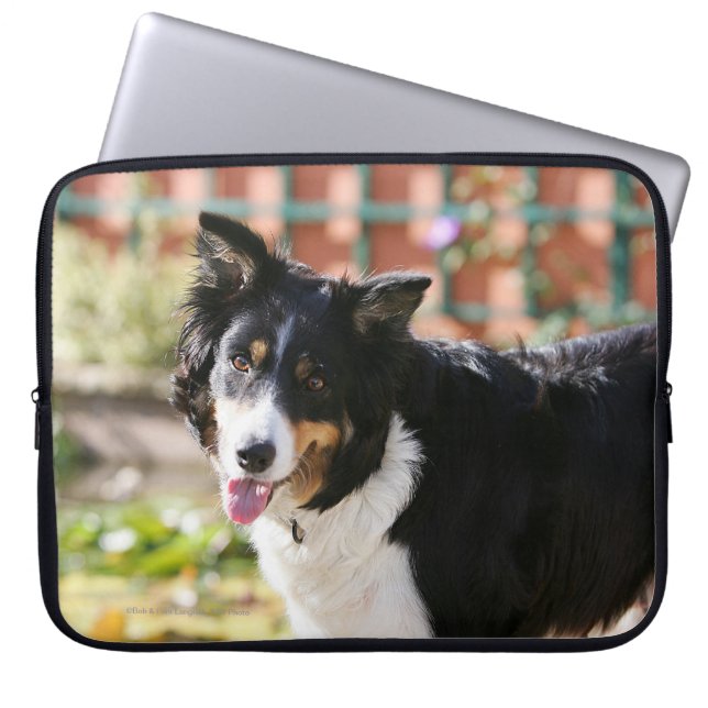 Funda Para Portátil Border collie que jadea 1 (Frente)