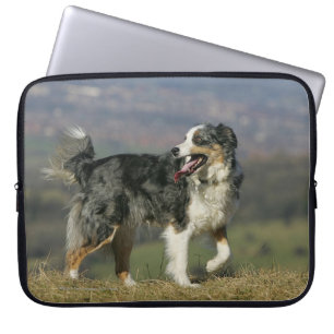 Funda Para Portátil Border collie que jadea 2