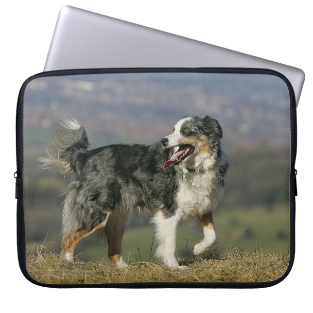Funda Para Portátil Border collie que jadea 2 (Frente)