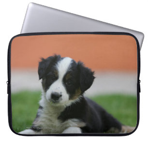 Funda Para Portátil Border collie viejo de 6 semanas
