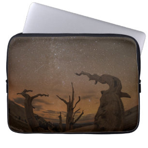 Funda Para Portátil Bosque de Pinos Bristlecone Antiguos   California