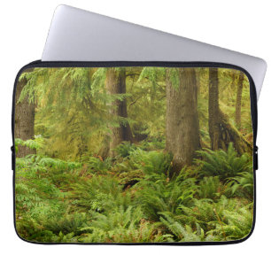Funda Para Portátil Bosque exuberante y helechos   Parque Estatal Ecol