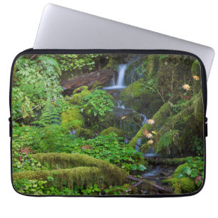 Funda Para Portátil Bosque lluvioso de otoño Parque nacional Olympic