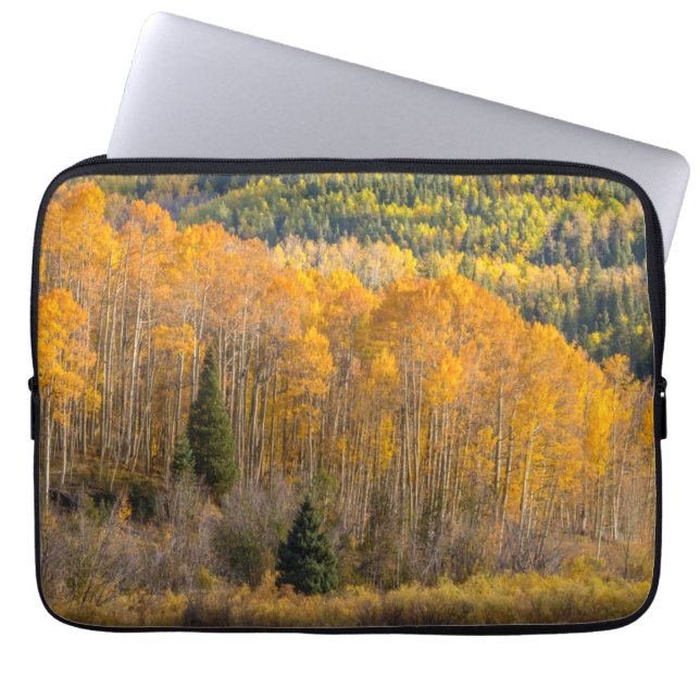 Funda Para Portátil Bosque nacional de Gunnison (Frente)