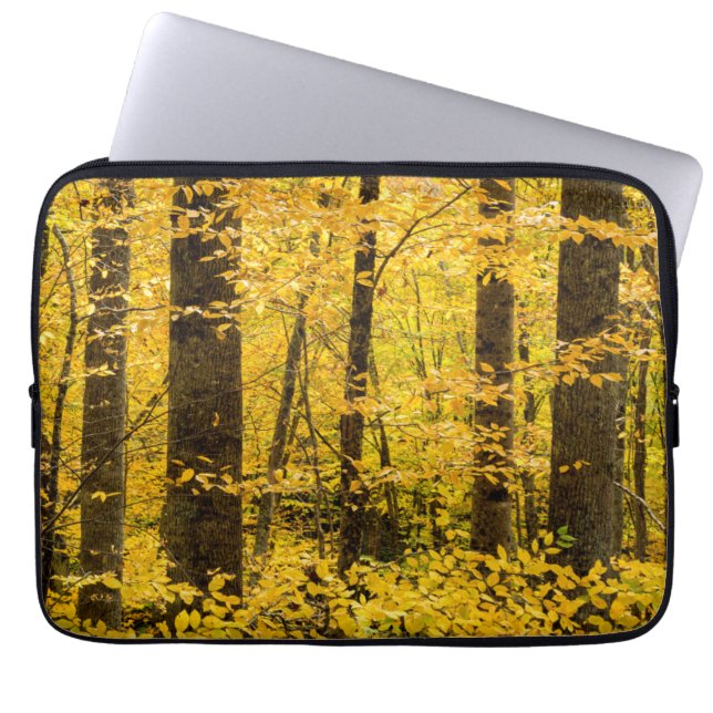 Funda Para Portátil Bosque nacional Fall Pisgah (Frente)