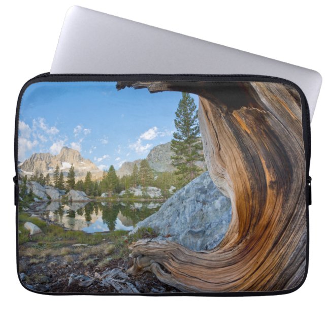 Funda Para Portátil Bosque Nacional Inyo, California (Frente)