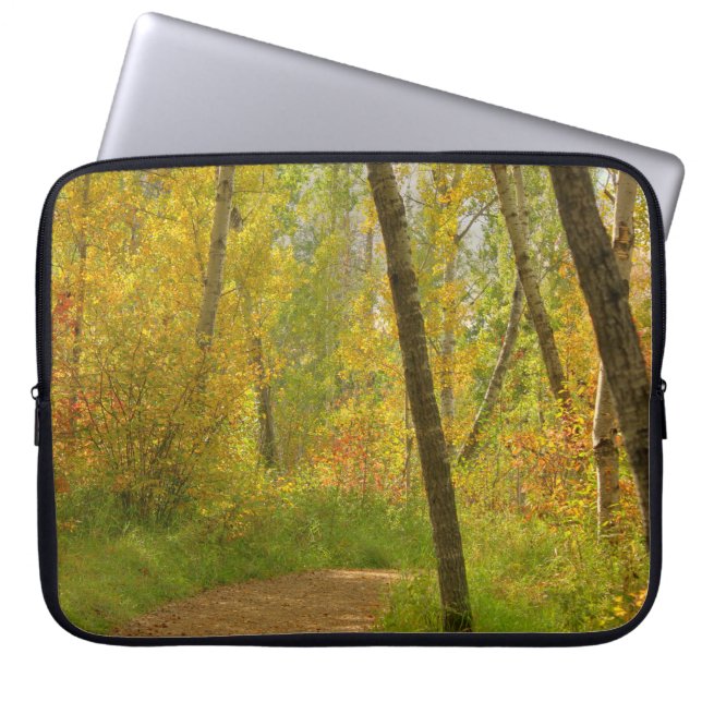 Funda Para Portátil Bosques de otoño (Frente)