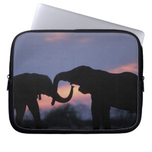 Funda Para Portátil Botsuana, Parque Nacional Chobe, Elefantes