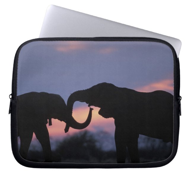 Funda Para Portátil Botsuana, Parque Nacional Chobe, Elefantes (Frente)