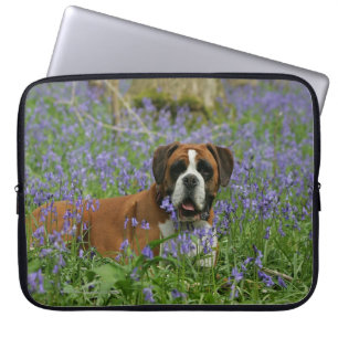 Funda Para Portátil Boxeador que pone en Bluebells