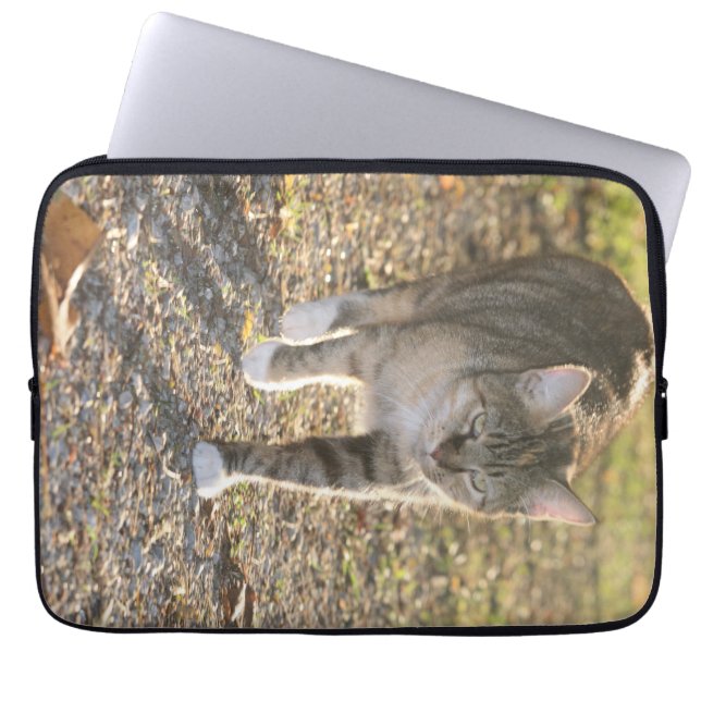 Funda Para Portátil Brin (Frente)