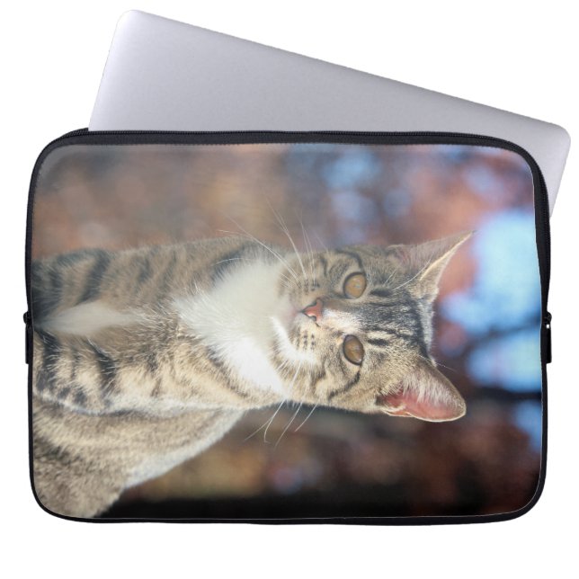 Funda Para Portátil Brin (Frente)