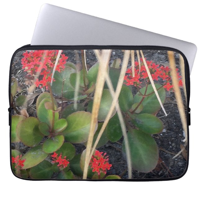 Funda Para Portátil Brisa de los jardines (Frente)