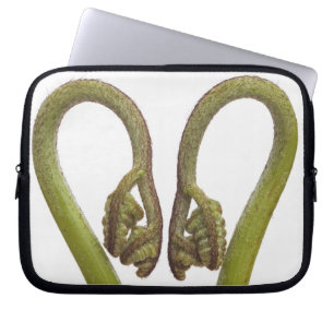 Funda Para Portátil Brotes 2 del helecho