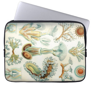 Funda Para Portátil Bryozoa de Haeckel