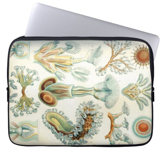 Funda Para Portátil Bryozoa de Haeckel (Frente)
