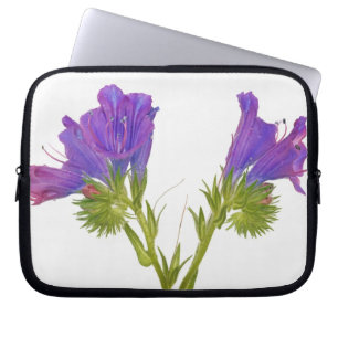 Funda Para Portátil Bugloss púrpura de las víboras (plantagineum del