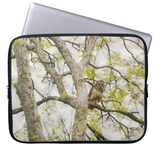 Funda Para Portátil Búho en una cubierta de laptop de arte de la natur