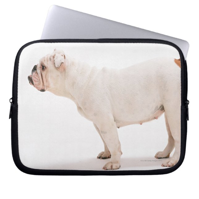 Funda Para Portátil Bulldog (Frente)