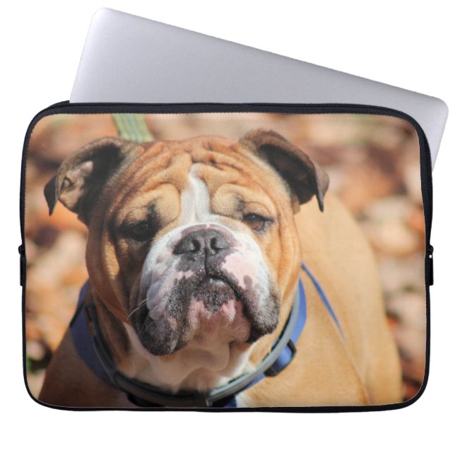 Funda Para Portátil Bulldog Buddy (Frente)